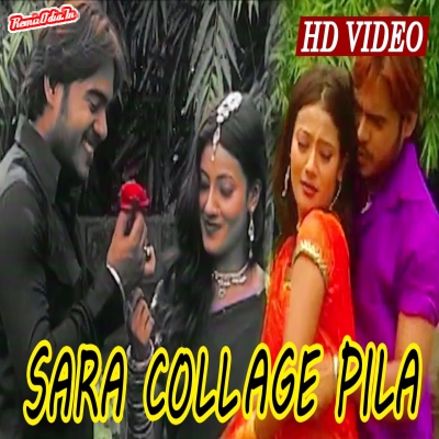 SARA COLLAGE PILA Sambalpuri